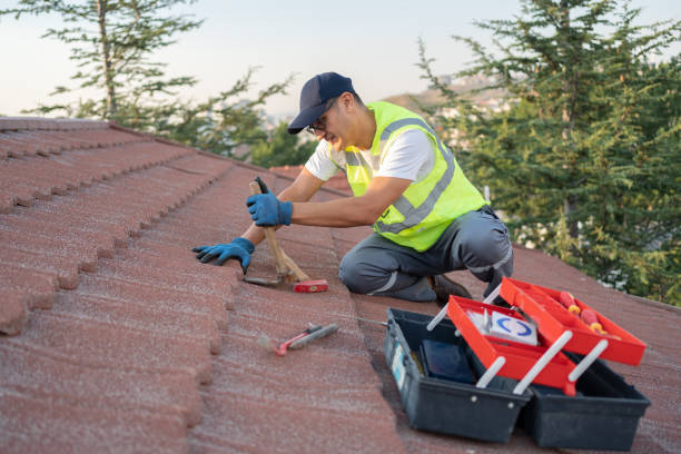 Best Roof Maintenance Services  in Pocola, OK