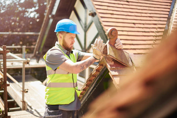 Best Sealant for Roof  in Pocola, OK